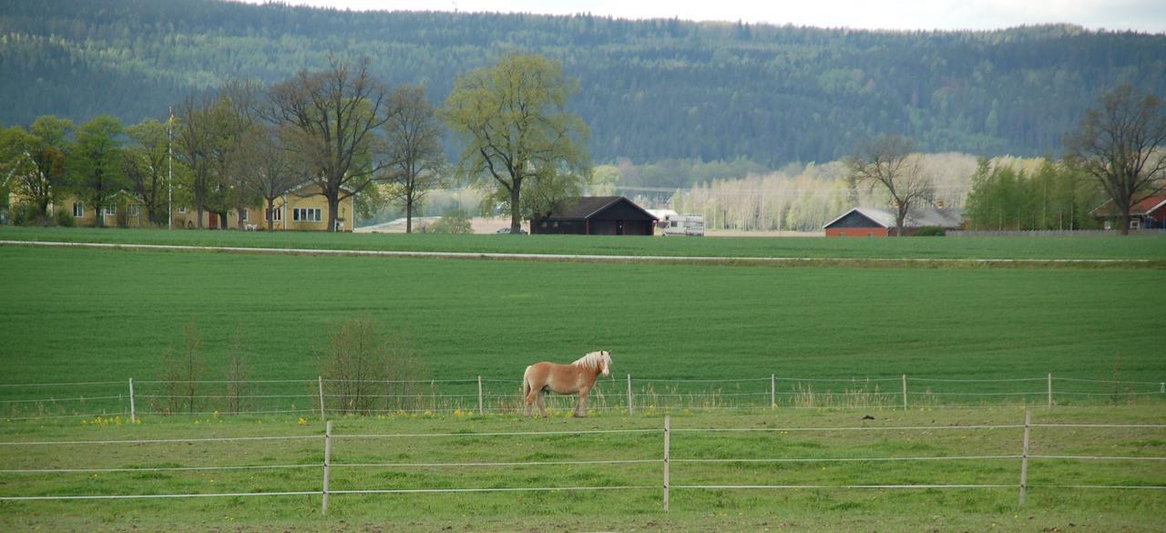 Vallby Farm Camp Örebro Buitenkant foto
